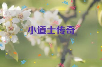 小道士传奇