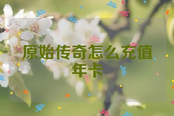 原始传奇怎么充值年卡