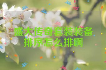 盛大传奇套装装备排序怎么排啊