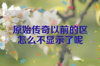 原始传奇以前的区怎么不显示了呢