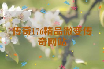 传奇176精品微变传奇网站