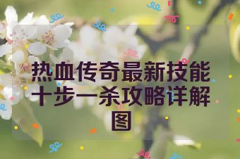 热血传奇最新技能十步一杀攻略详解图