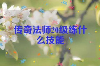 传奇法师20级练什么技能