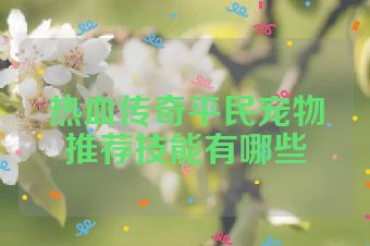 热血传奇平民宠物推荐技能有哪些
