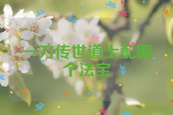 一刀传世道士配哪个法宝