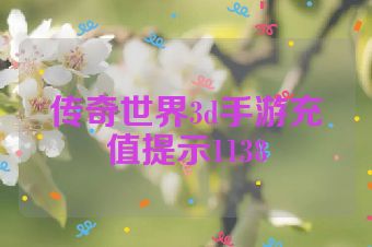 传奇世界3d手游充值提示1138