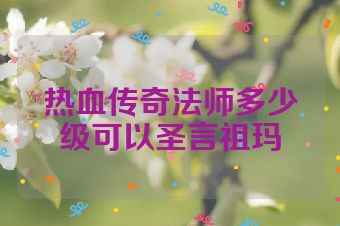 热血传奇法师多少级可以圣言祖玛