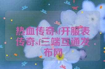 热血传奇sf开服表传奇sf三端互通发布网