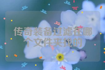 传奇装备过滤在哪个文件夹找的
