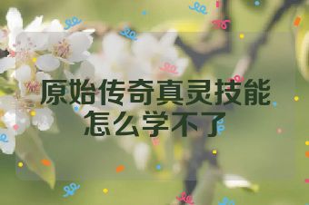 原始传奇真灵技能怎么学不了