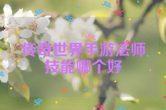 传奇世界手游法师技能哪个好