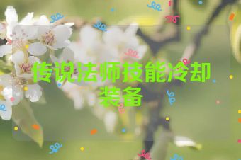 传说法师技能冷却装备