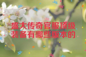 盛大传奇官服顶级装备有哪些版本的