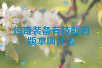 传奇装备有技能的版本叫什么