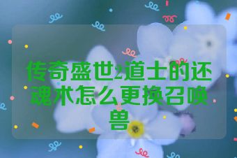 传奇盛世2道士的还魂术怎么更换召唤兽