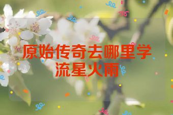 原始传奇去哪里学流星火雨
