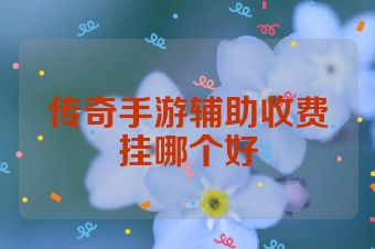 传奇手游辅助收费挂哪个好