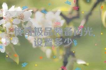 传奇极品装备闪光设置多少