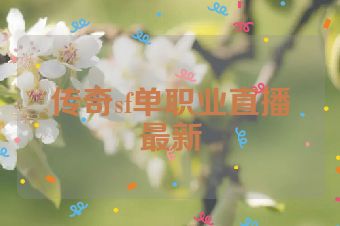 传奇sf单职业直播最新