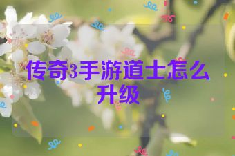 传奇3手游道士怎么升级