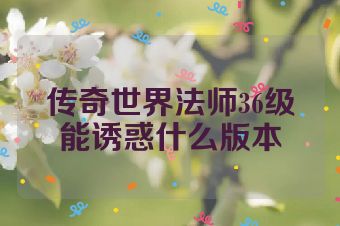 传奇世界法师36级能诱惑什么版本