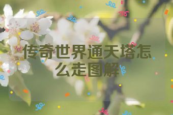 传奇世界通天塔怎么走图解