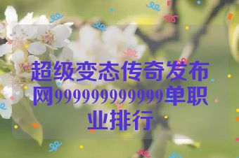 超级变态传奇发布网999999999999单职业排行