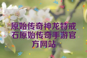 原始传奇神龙特戒石原始传奇手游官方网站