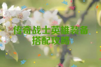传奇战士英雄装备搭配攻略