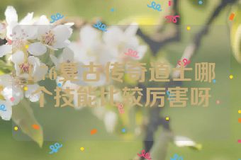 1.76复古传奇道士哪个技能比较厉害呀