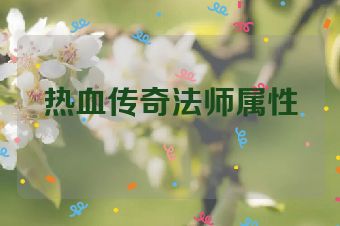 热血传奇法师属性