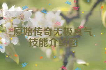 原始传奇无极真气技能介绍图
