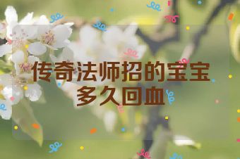 传奇法师招的宝宝多久回血