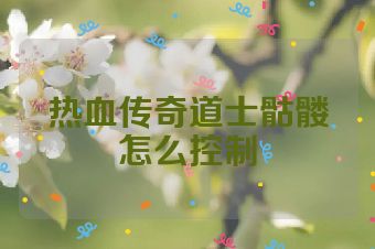 热血传奇道士骷髅怎么控制