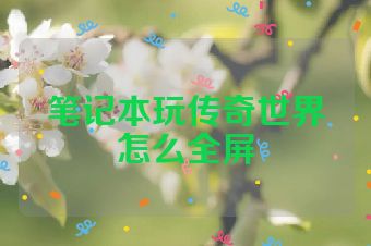 笔记本玩传奇世界怎么全屏