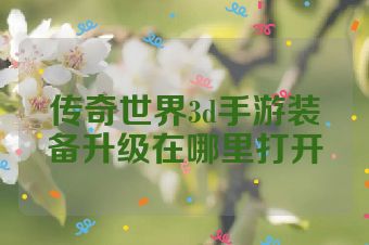 传奇世界3d手游装备升级在哪里打开