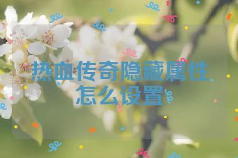 热血传奇隐藏属性怎么设置