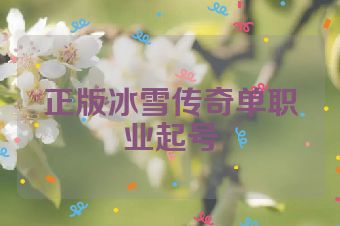正版冰雪传奇单职业起号