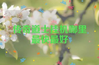 传奇道士挂机哪里最快最好