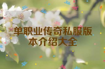 单职业传奇私服版本介绍大全