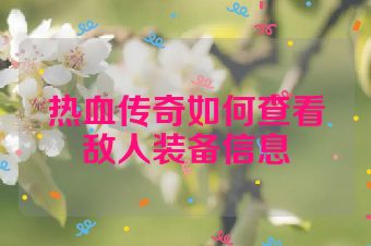 热血传奇如何查看敌人装备信息