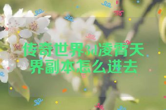 传奇世界3d凌霄天界副本怎么进去