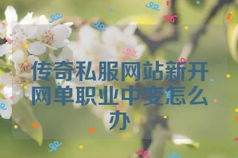 传奇私服网站新开网单职业中变怎么办