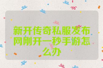 新开传奇私服发布网刚开一秒手游怎么办