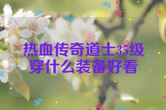 热血传奇道士35级穿什么装备好看