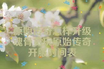 原始传奇怎样升级魂骨贪玩原始传奇开服时间表