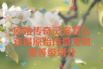 原始传奇灵宠怎么获得原始传奇宠物蛋等级划分