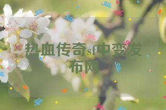 热血传奇sf中变发布网