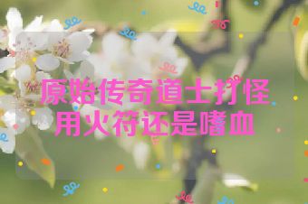 原始传奇道士打怪用火符还是嗜血