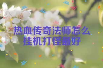 热血传奇法师怎么挂机打怪最好